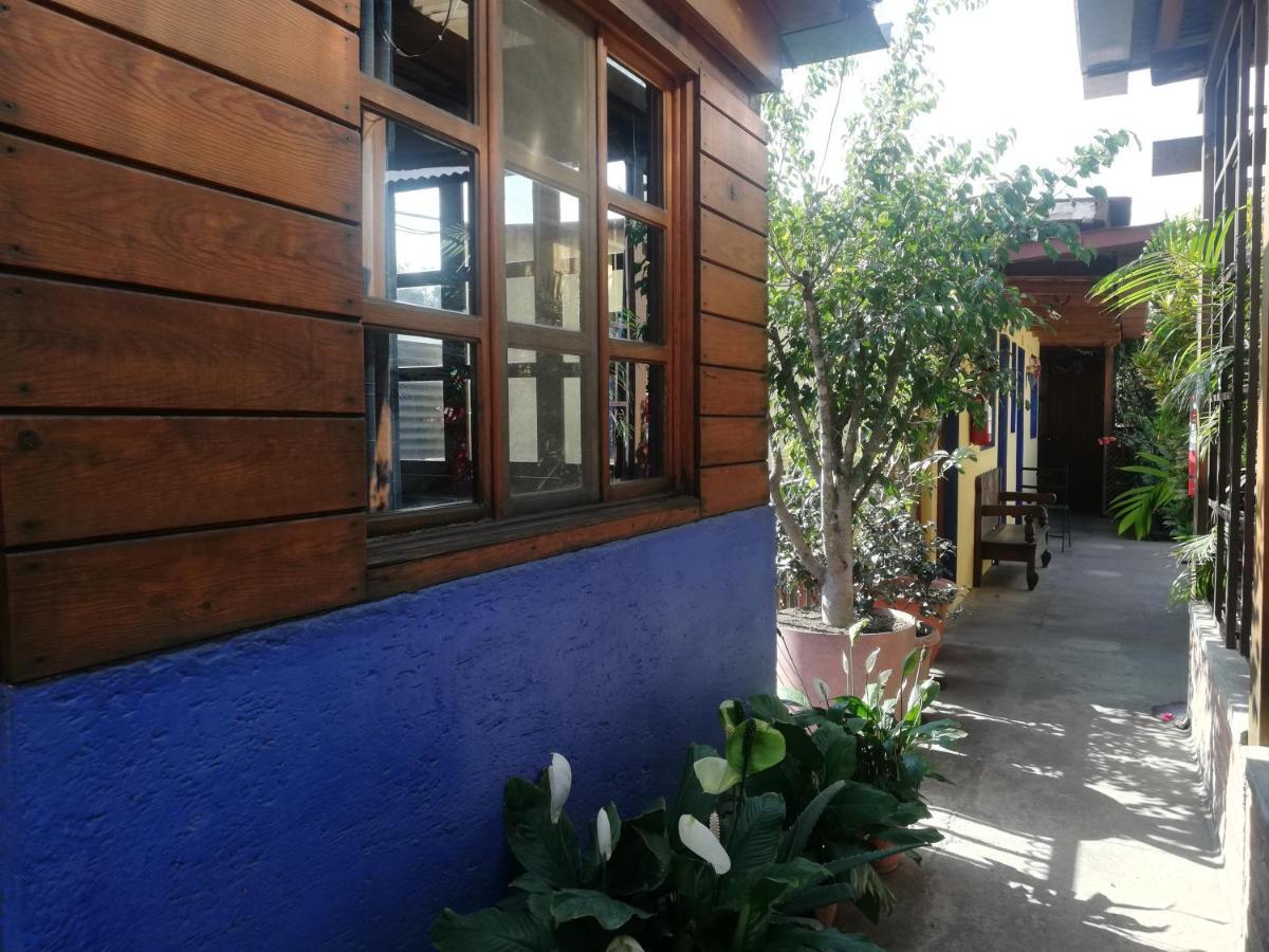 Yellow House Hostal