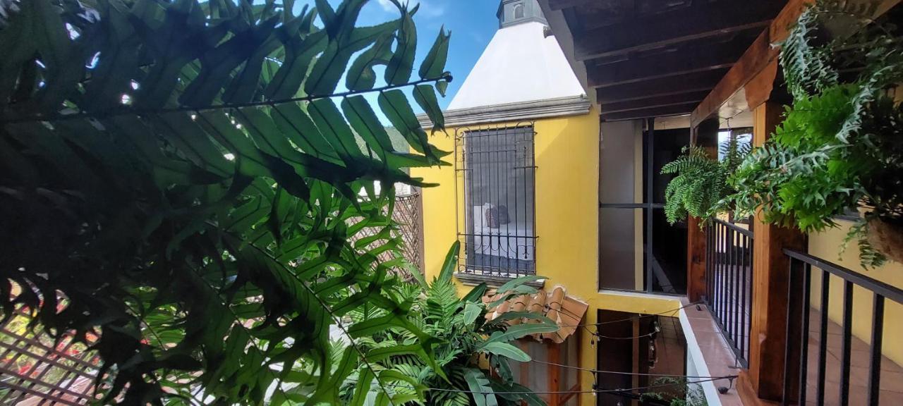 Yellow House Hostel *